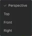 Perspective view directions