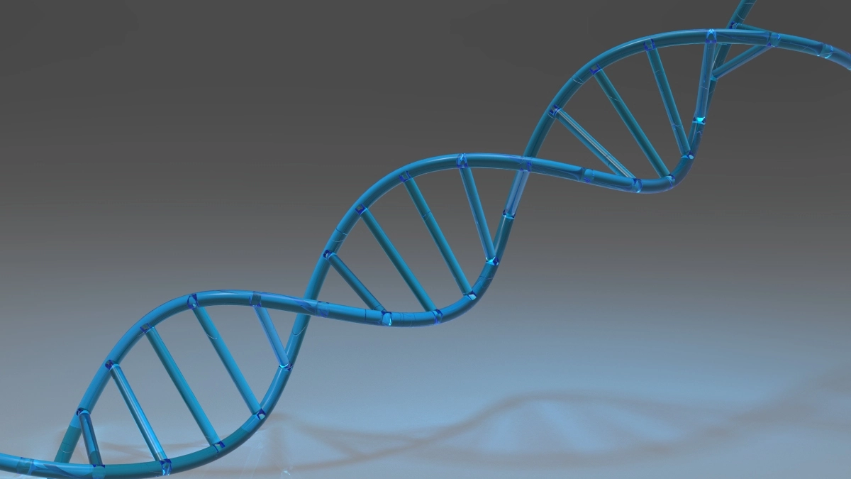 DNA Stand 3D Parametric Model - 0