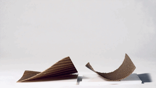 Programmable wood animation