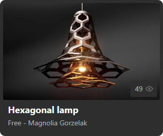 Hexagonal lamp by Magnolia Gorzelak